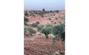 KOCATEPE DE 1275 METRE TEK TAPU MANZARALI ARAZİ